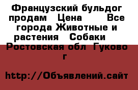 Французский бульдог продам › Цена ­ 1 - Все города Животные и растения » Собаки   . Ростовская обл.,Гуково г.